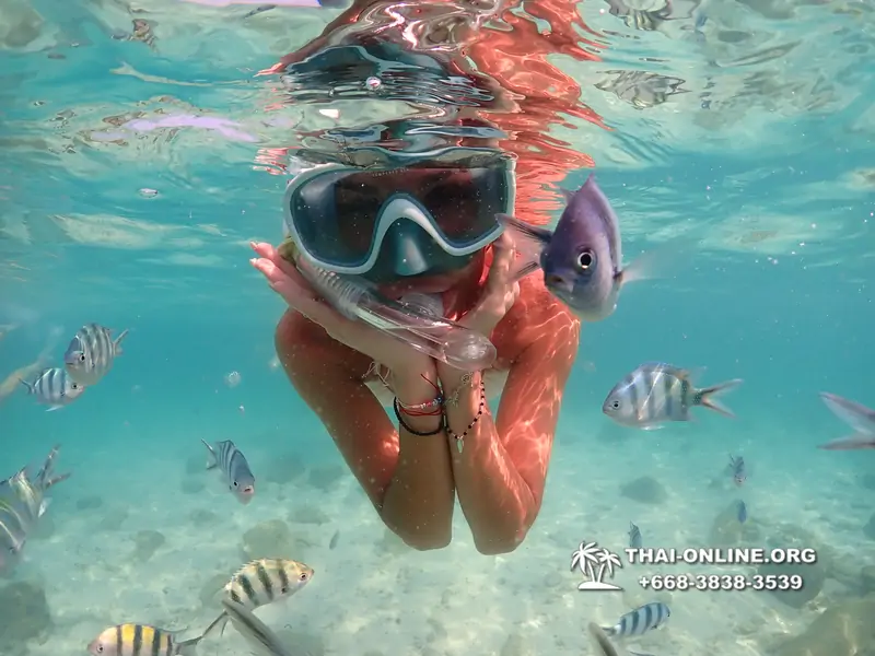 Underwater Odyssey snorkeling tour from Pattaya Thailand photo 14189