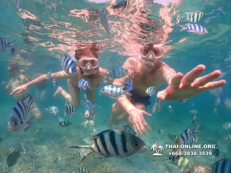 Underwater Odyssey snorkeling excursion Pattaya Thailand photo 11528