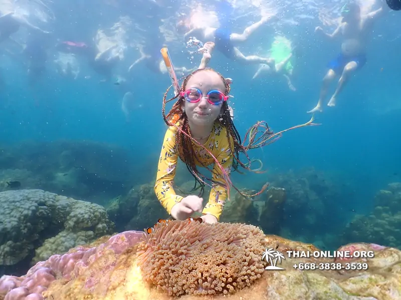 Underwater Odyssey snorkeling excursion Pattaya Thailand photo 11554