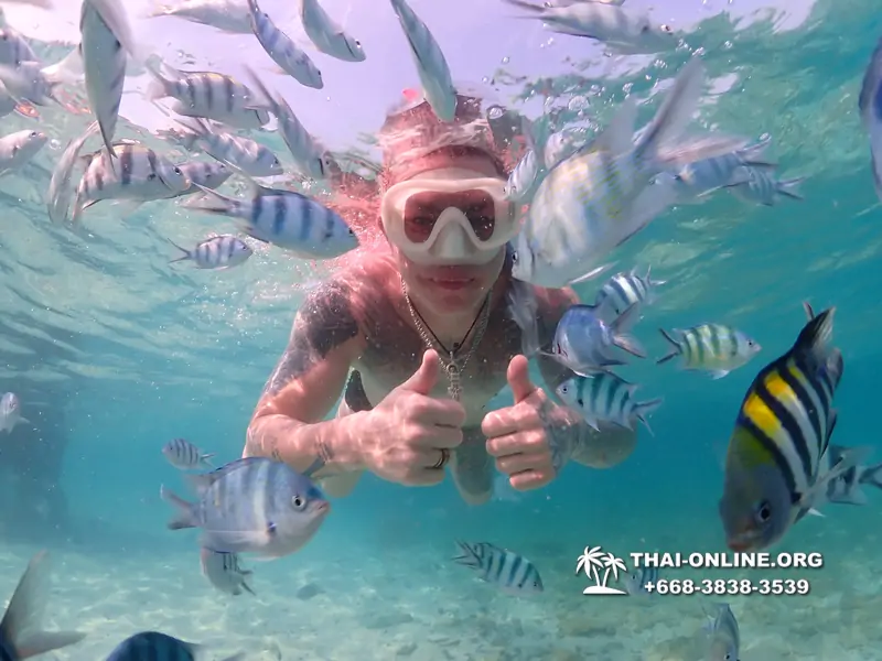 Underwater Odyssey snorkeling excursion Pattaya Thailand photo 11236