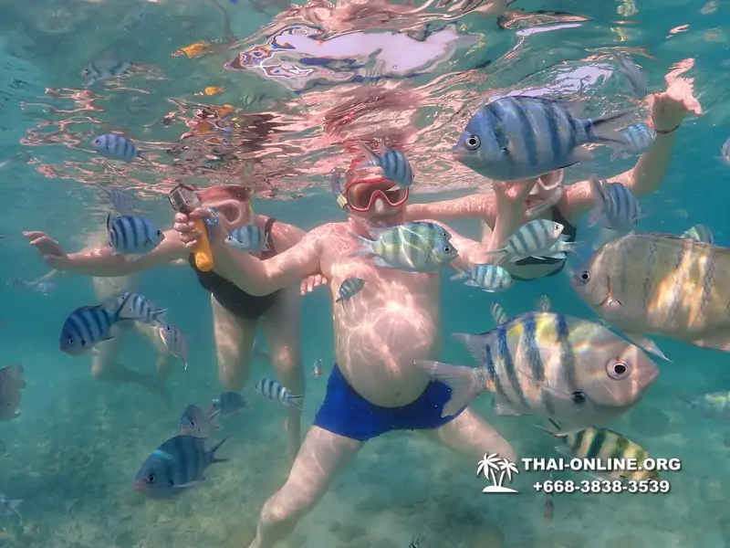 Underwater Odyssey snorkeling excursion Pattaya Thailand photo 11563