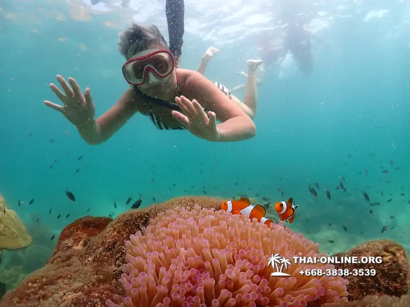 Underwater Odyssey snorkeling tour from Pattaya Thailand photo 18282