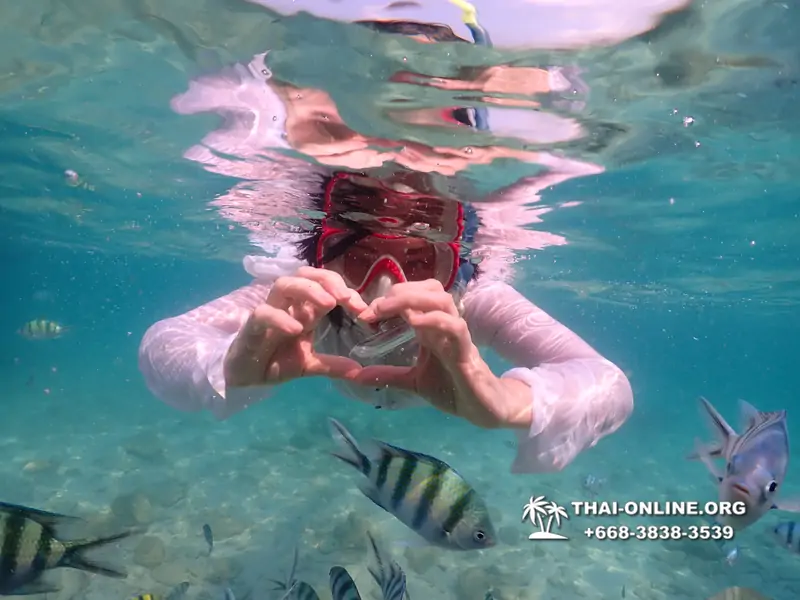 Underwater Odyssey snorkeling tour from Pattaya Thailand photo 14473
