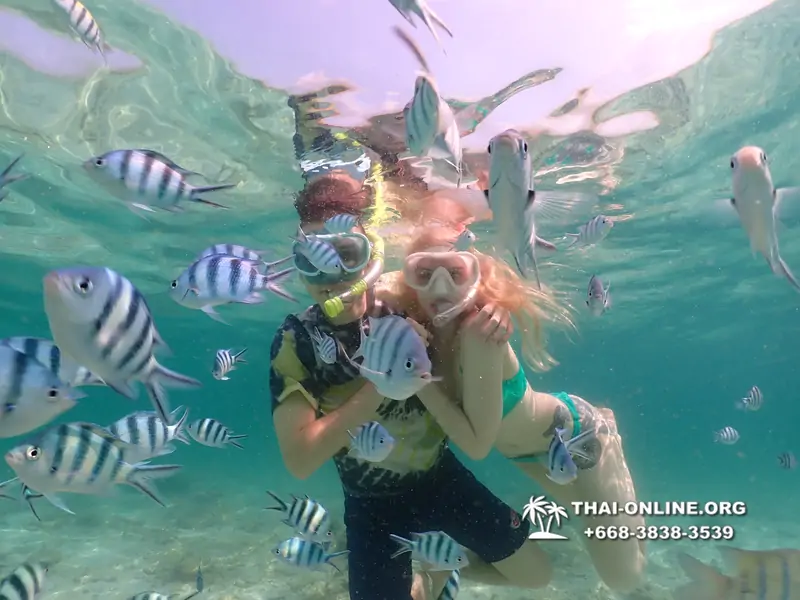 Underwater Odyssey snorkeling tour from Pattaya Thailand photo 18307