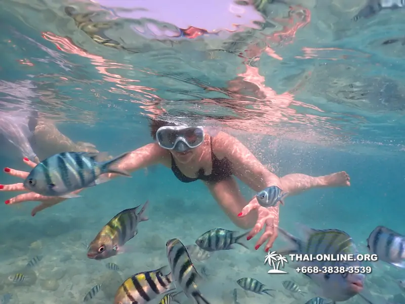 Underwater Odyssey snorkeling tour from Pattaya Thailand photo 14251