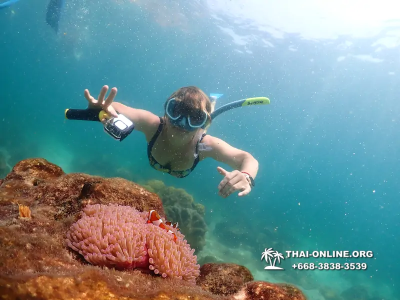 Underwater Odyssey snorkeling excursion Pattaya Thailand photo 14858