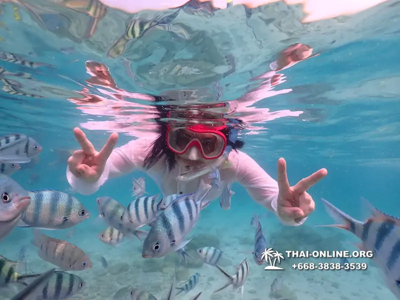 Underwater Odyssey snorkeling tour from Pattaya Thailand photo 14164