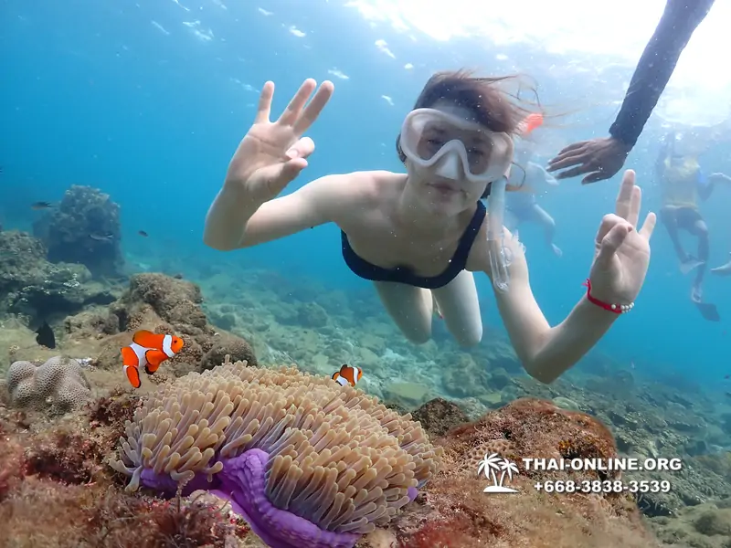 Underwater Odyssey snorkeling excursion Pattaya Thailand photo 11430