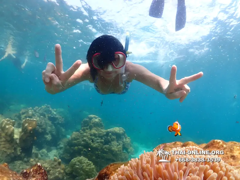 Underwater Odyssey snorkeling tour from Pattaya Thailand photo 14249