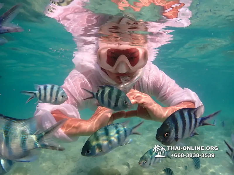 Underwater Odyssey snorkeling tour from Pattaya Thailand photo 14377
