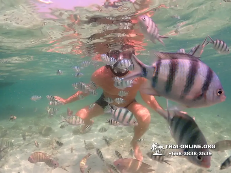 Underwater Odyssey snorkeling tour from Pattaya Thailand photo 18339