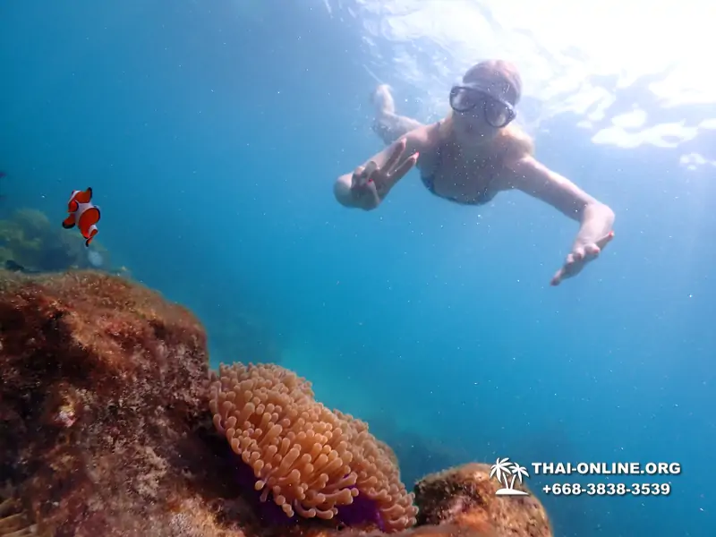 Underwater Odyssey snorkeling excursion in Pattaya Thailand photo 1037