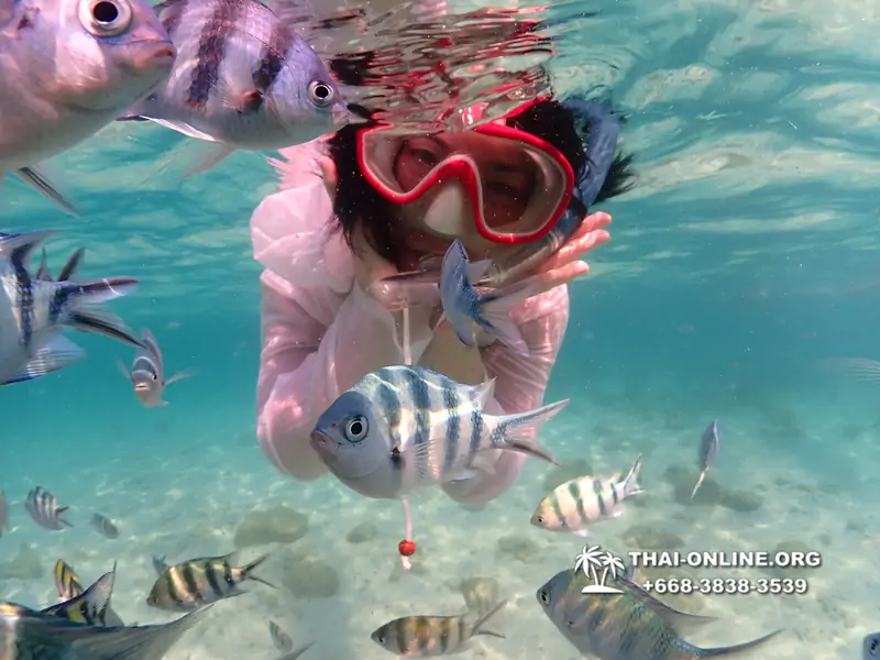Underwater Odyssey snorkeling tour from Pattaya Thailand photo 14299