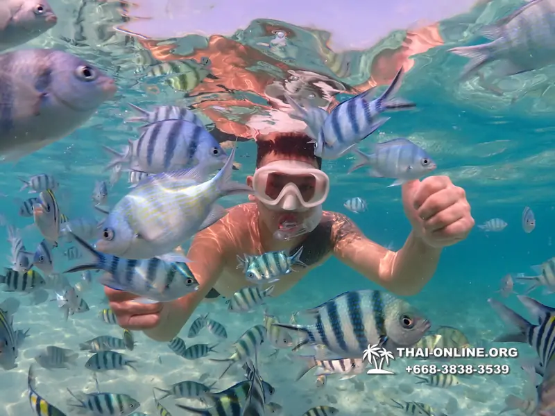 Underwater Odyssey snorkeling excursion Pattaya Thailand photo 11266