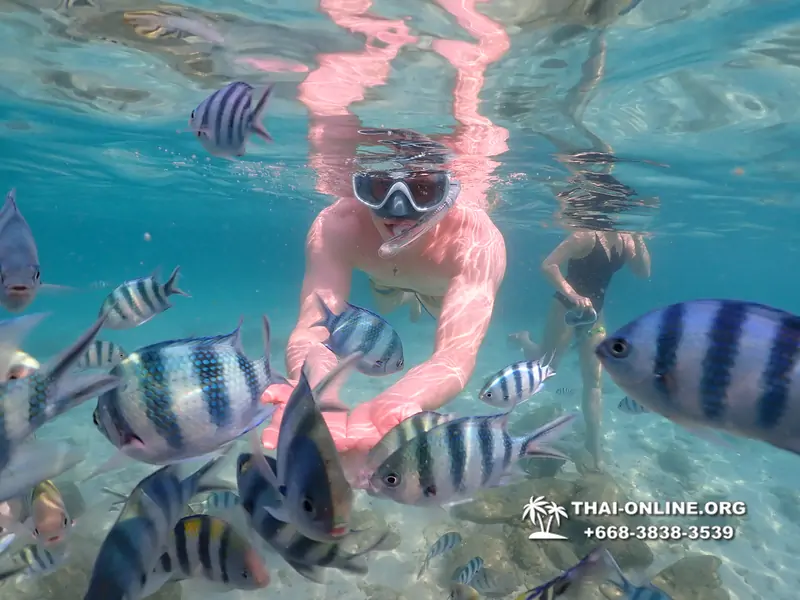 Underwater Odyssey snorkeling tour from Pattaya Thailand photo 14236