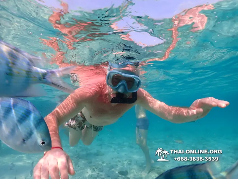 Underwater Odyssey snorkeling excursion Pattaya Thailand photo 11081
