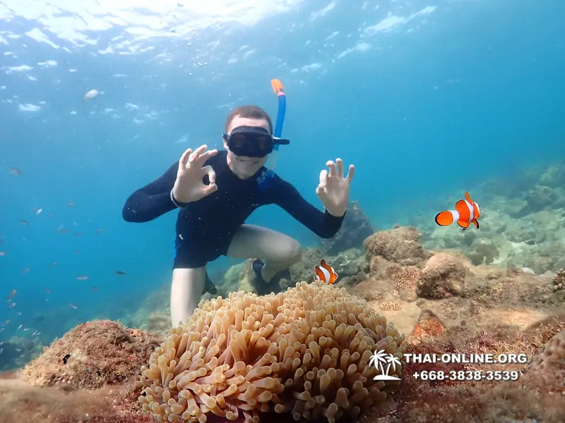 Underwater Odyssey snorkeling excursion Pattaya Thailand photo 11384