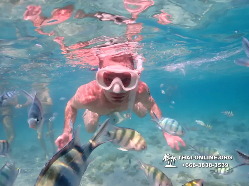 Underwater Odyssey snorkeling excursion Pattaya Thailand photo 11132