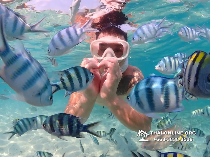 Underwater Odyssey snorkeling excursion Pattaya Thailand photo 11277