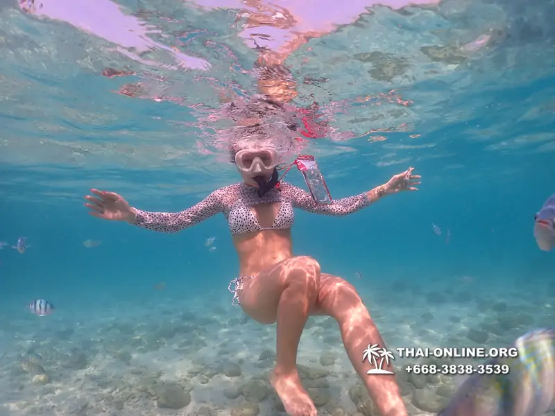 Underwater Odyssey snorkeling excursion Pattaya Thailand photo 11000