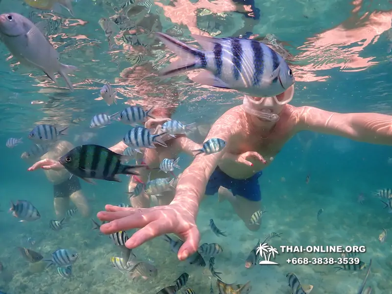 Underwater Odyssey snorkeling excursion Pattaya Thailand photo 11555