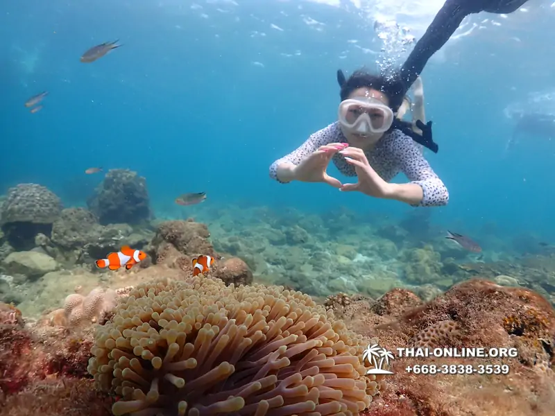 Underwater Odyssey snorkeling excursion Pattaya Thailand photo 11352