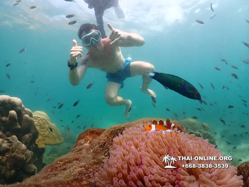 Underwater Odyssey snorkeling tour from Pattaya Thailand photo 18281