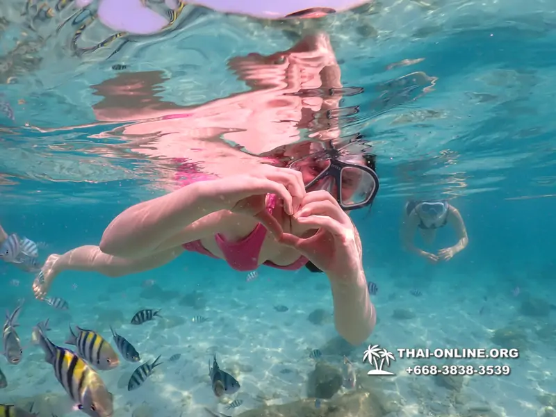 Underwater Odyssey snorkeling tour from Pattaya Thailand photo 14191