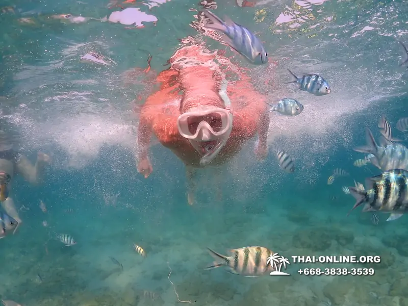 Underwater Odyssey snorkeling excursion Pattaya Thailand photo 11540