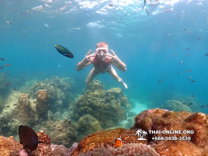 Underwater Odyssey snorkeling tour from Pattaya Thailand photo 14154
