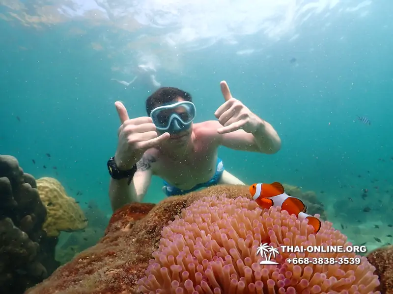 Underwater Odyssey snorkeling tour from Pattaya Thailand photo 18408