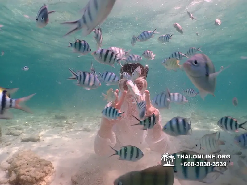 Underwater Odyssey snorkeling tour from Pattaya Thailand photo 18524