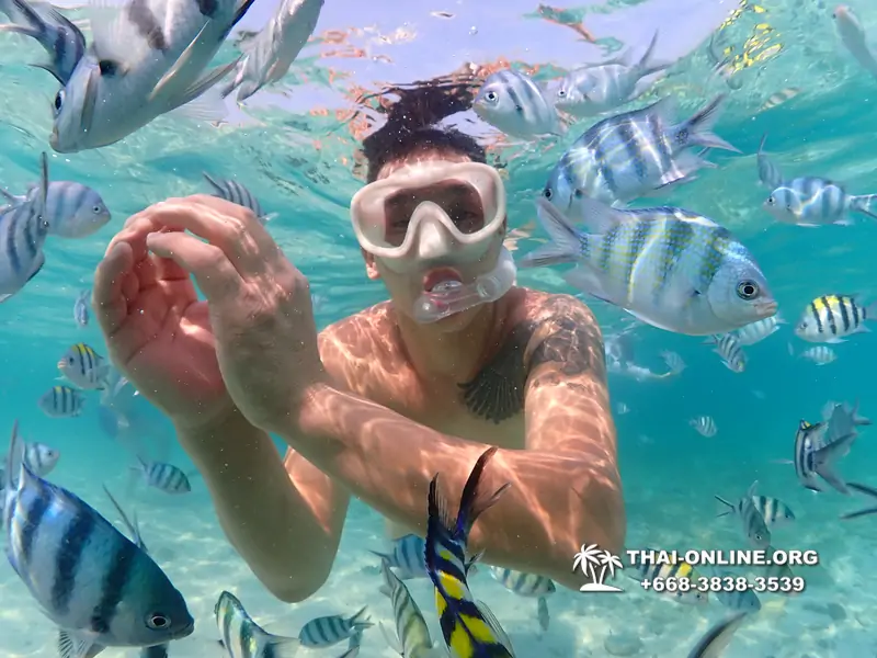 Underwater Odyssey snorkeling excursion Pattaya Thailand photo 11283