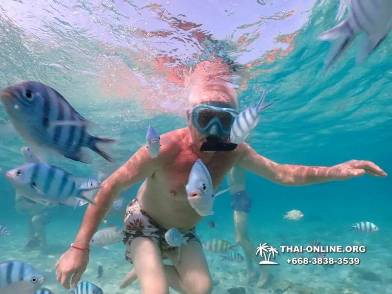 Underwater Odyssey snorkeling excursion Pattaya Thailand photo 11077
