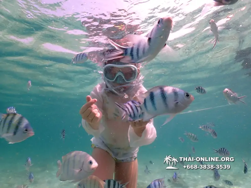 Underwater Odyssey snorkeling tour from Pattaya Thailand photo 18383