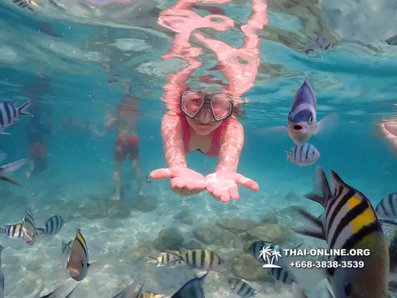 Underwater Odyssey snorkeling tour from Pattaya Thailand photo 14394
