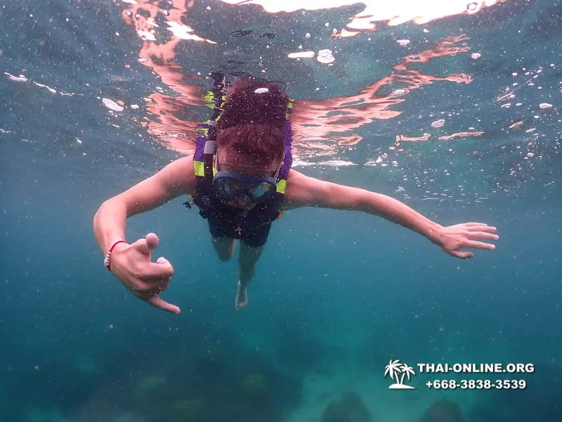 Underwater Odyssey snorkeling excursion in Pattaya Thailand photo 10