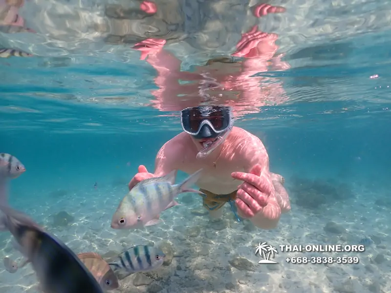 Underwater Odyssey snorkeling tour from Pattaya Thailand photo 14369