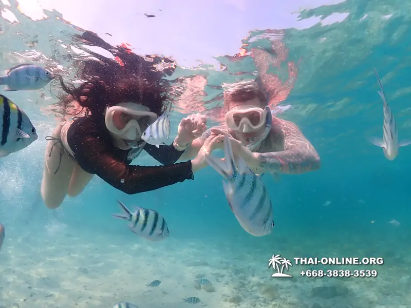 Underwater Odyssey snorkeling excursion Pattaya Thailand photo 11196