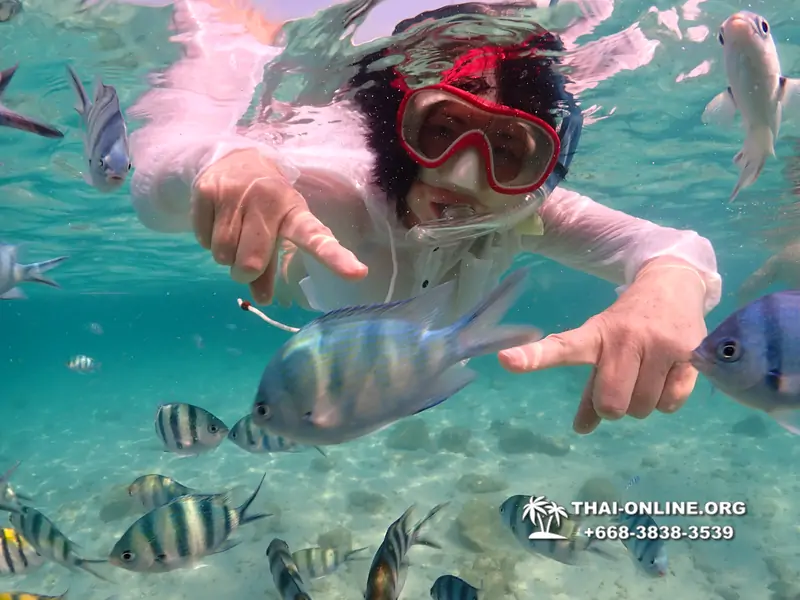 Underwater Odyssey snorkeling tour from Pattaya Thailand photo 14144