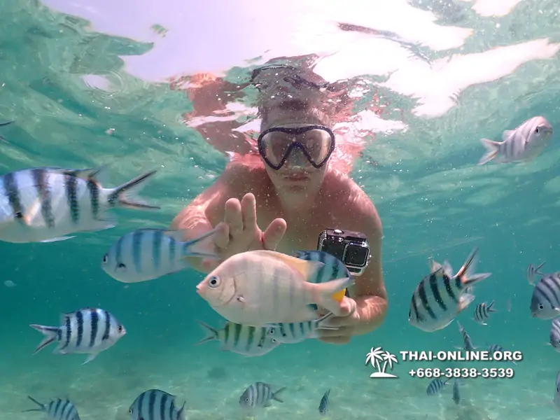 Underwater Odyssey snorkeling tour from Pattaya Thailand photo 18330