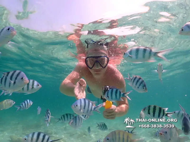 Underwater Odyssey snorkeling tour from Pattaya Thailand photo 18328