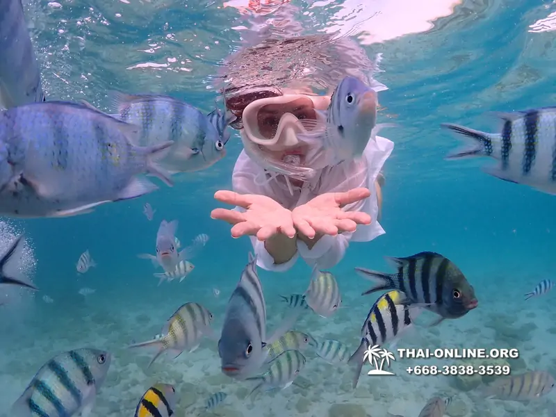 Underwater Odyssey snorkeling excursion Pattaya Thailand photo 11160