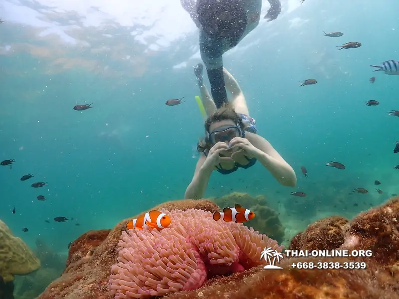 Underwater Odyssey snorkeling tour from Pattaya Thailand photo 18294