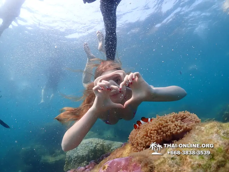 Underwater Odyssey snorkeling excursion Pattaya Thailand photo 11587