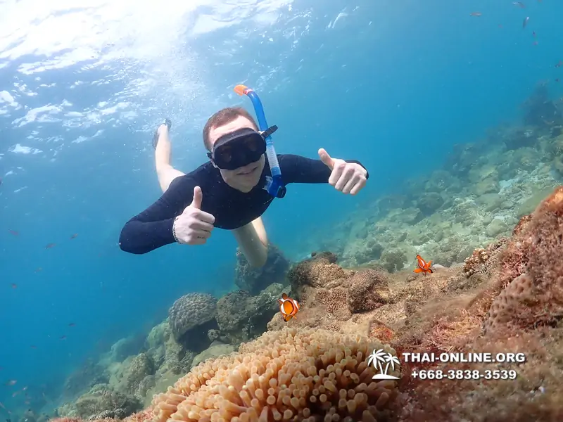 Underwater Odyssey snorkeling excursion Pattaya Thailand photo 11375