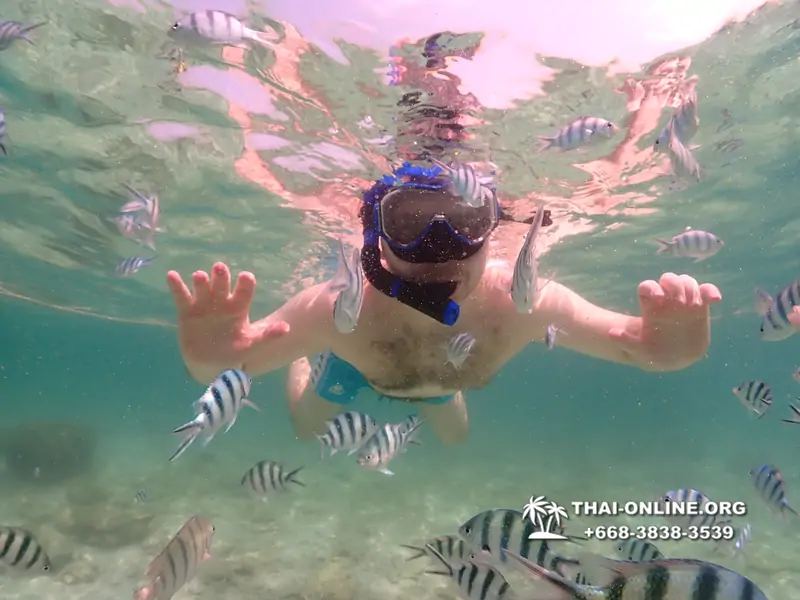 Underwater Odyssey snorkeling tour from Pattaya Thailand photo 18428