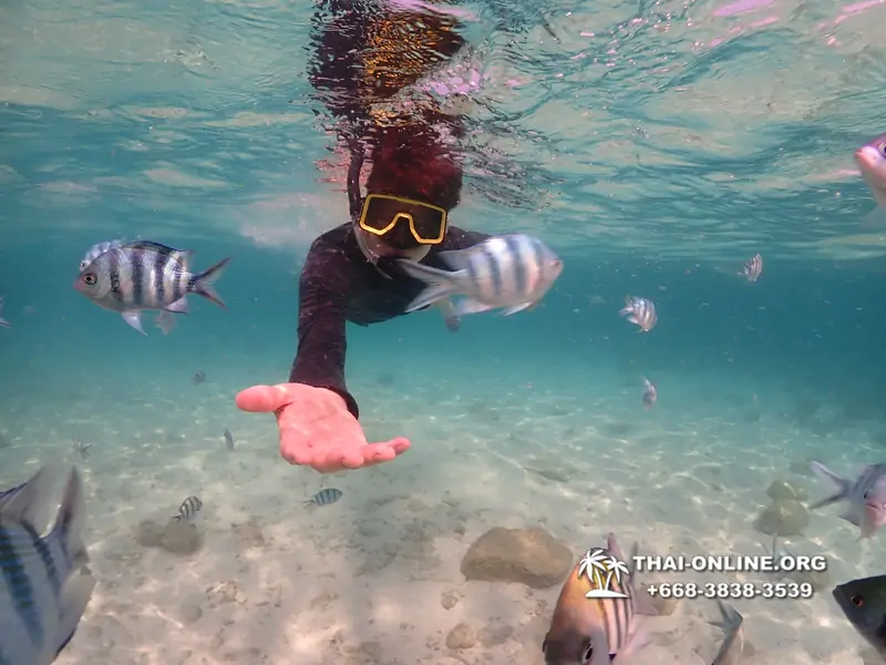 Underwater Odyssey snorkeling tour from Pattaya Thailand photo 14259