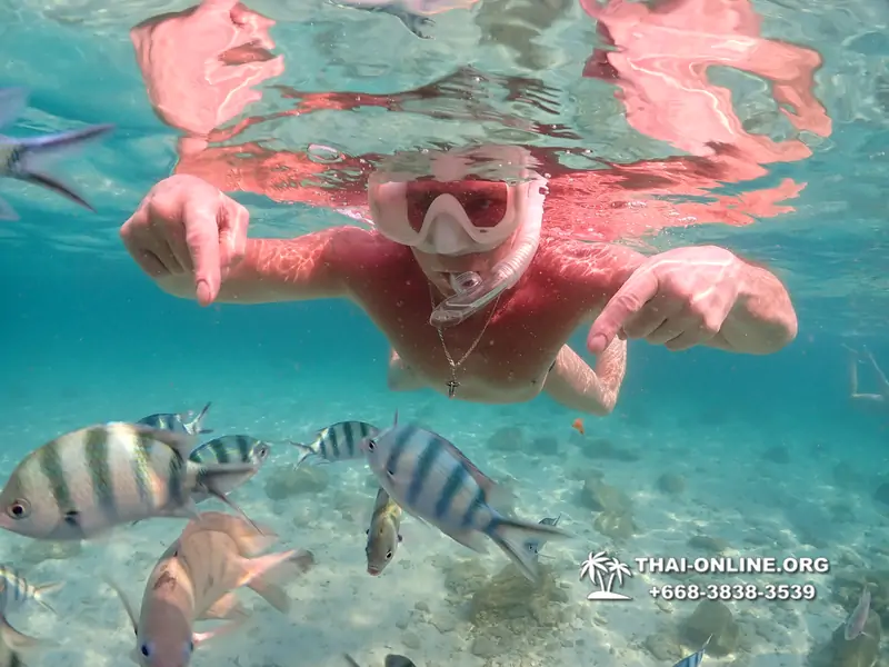 Underwater Odyssey snorkeling tour from Pattaya Thailand photo 14270