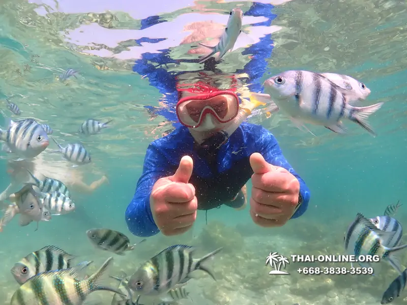 Underwater Odyssey snorkeling excursion Pattaya Thailand photo 14809